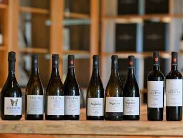 1 Day Luxury Tour in Lisbon Wine Region