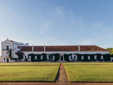 1 Day Luxury Tour in Alentejo