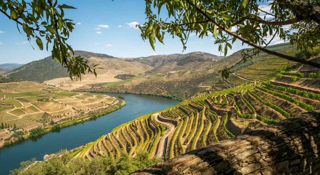 Douro