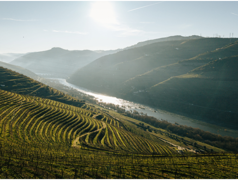 Quinta da Vacaria 