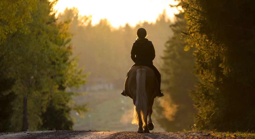 horseback ride