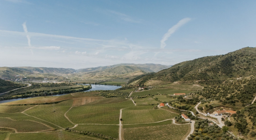 Quinta do Vale Meão