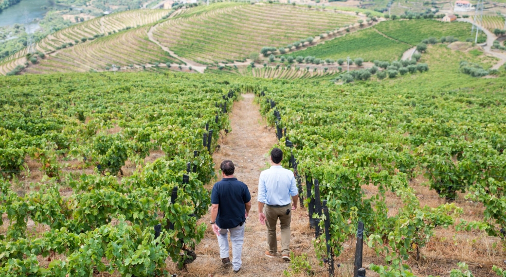 Douro Boys