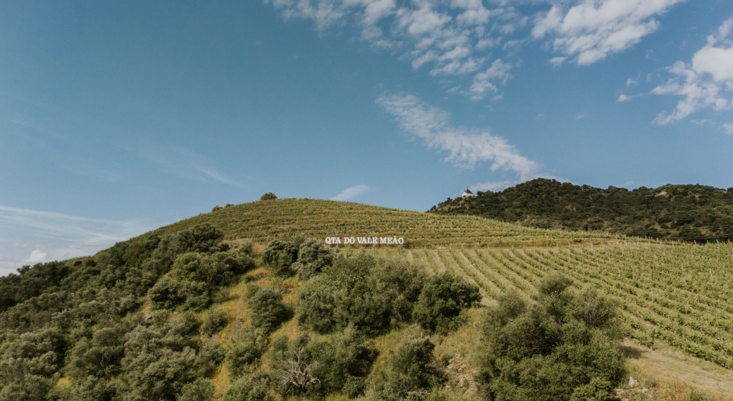 Quinta do Vale Meão