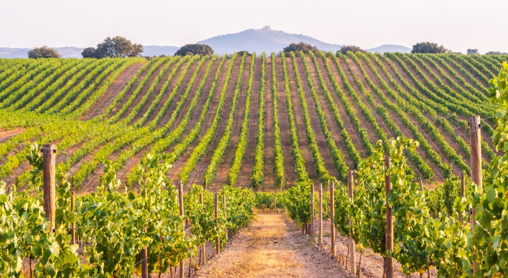Alentejo