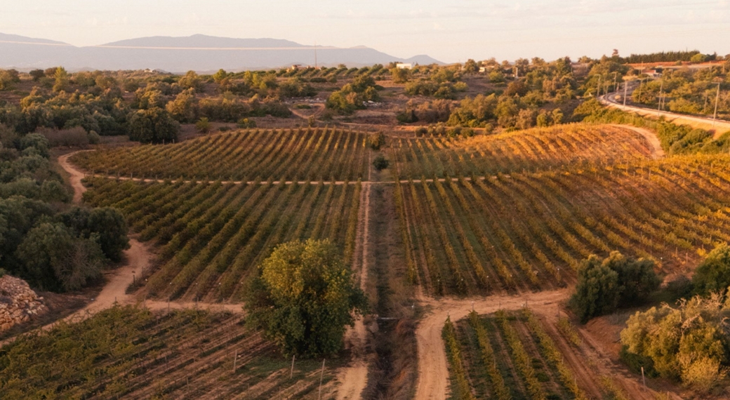 Quinta dos Vales