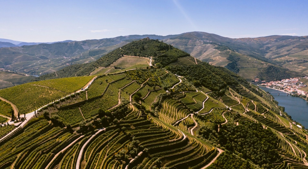 Quinta da Carvalhas