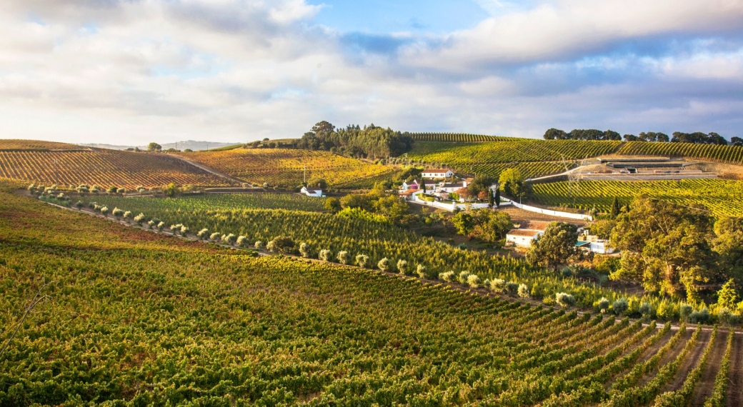 Quinta da Chocapalha