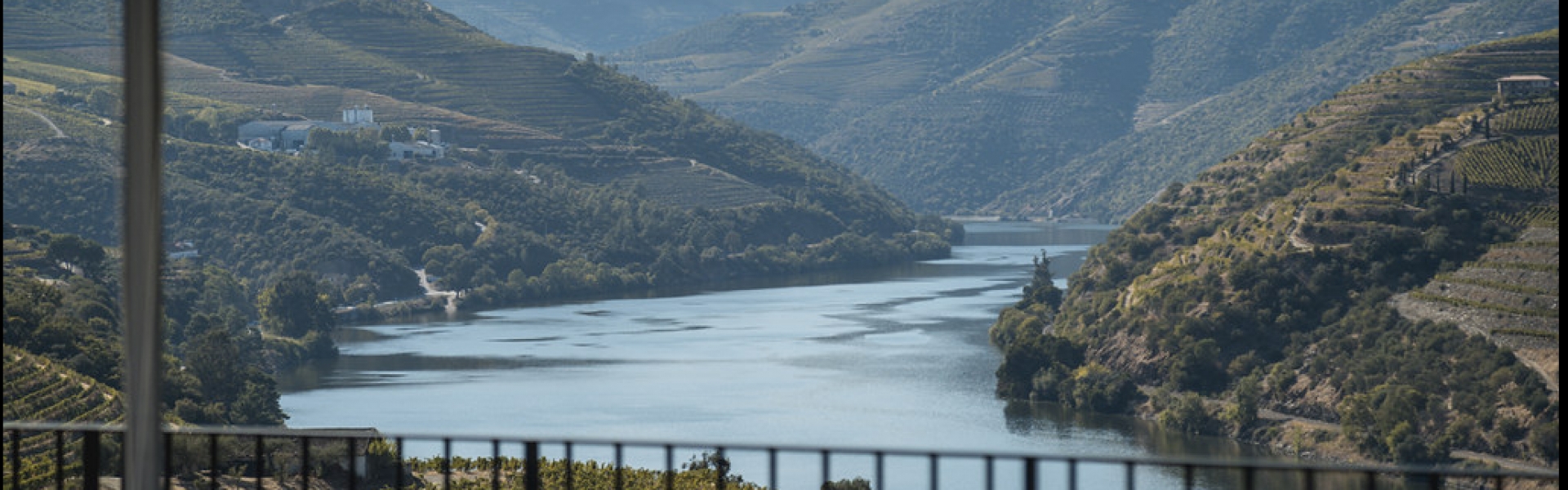 douro valley kopke