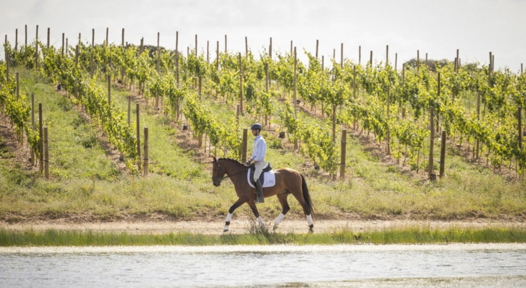 Herdade da Malhadinha Nova