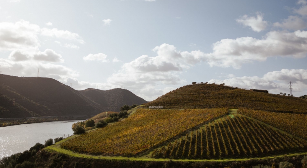 Quinta do Vale Meão