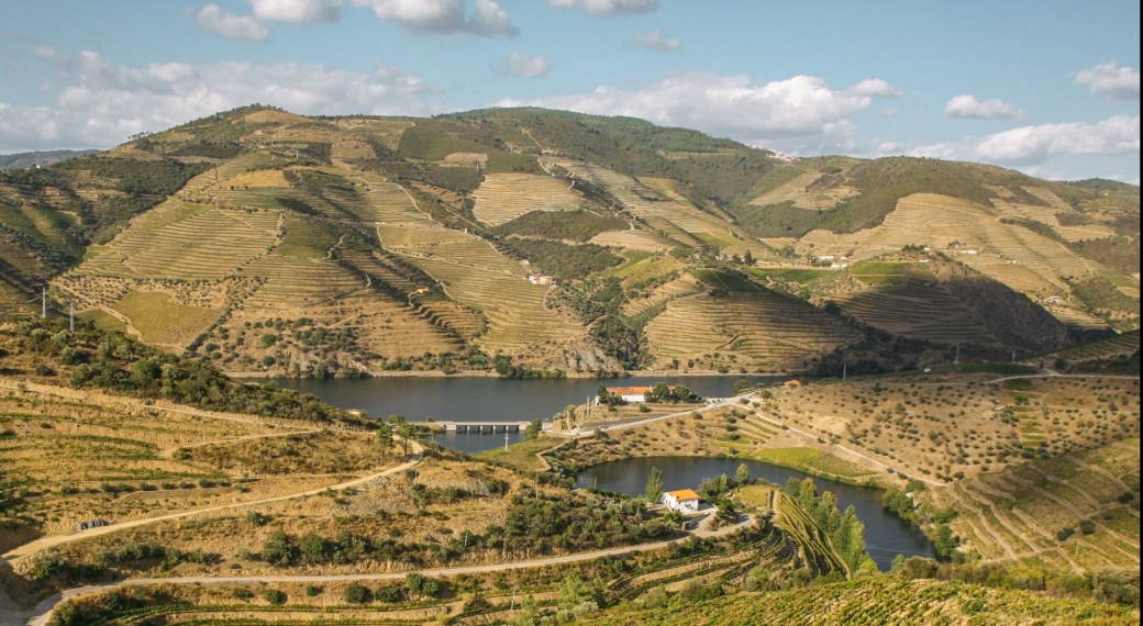 Quinta de Nápoles - Niepoort