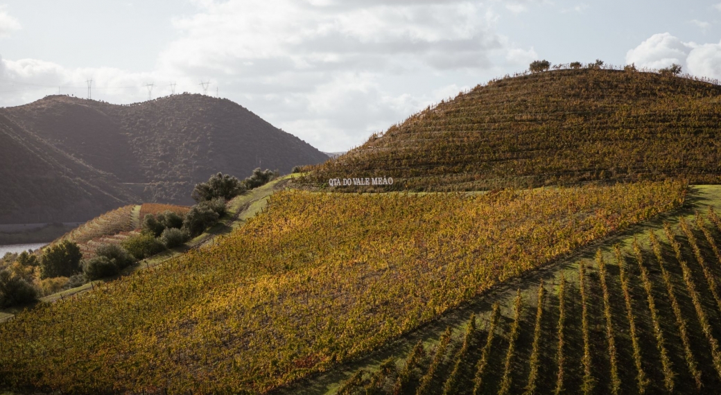 Quinta do Vale Meão