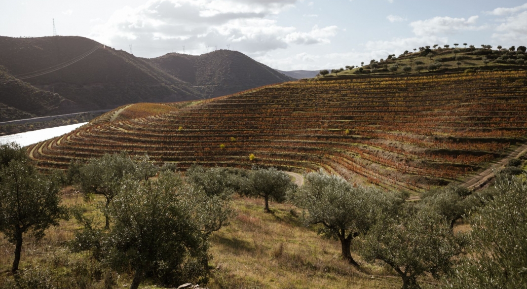 Quinta do Vale Meão
