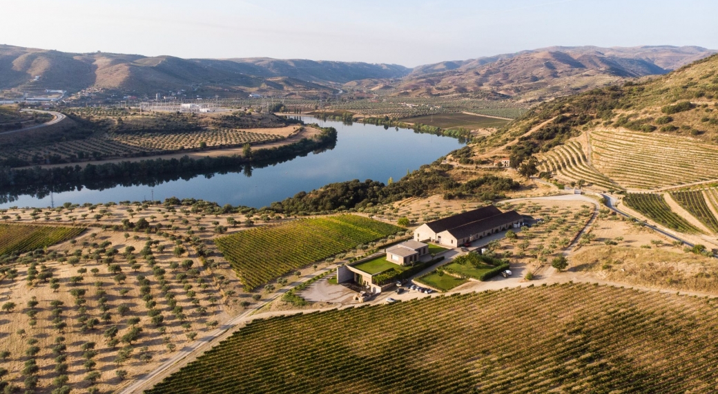 Quinta do Vale Meão