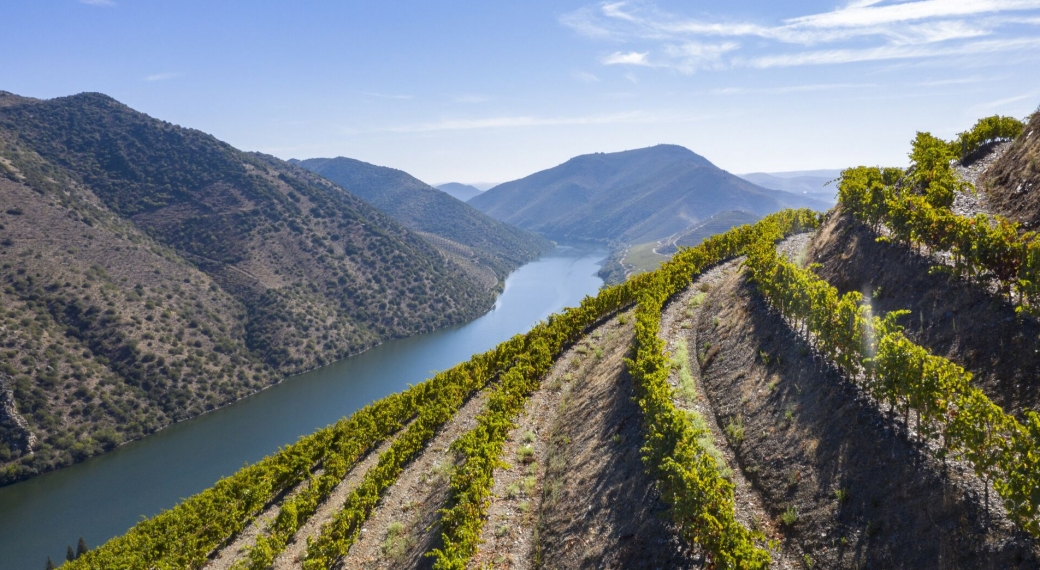 Douro Valley