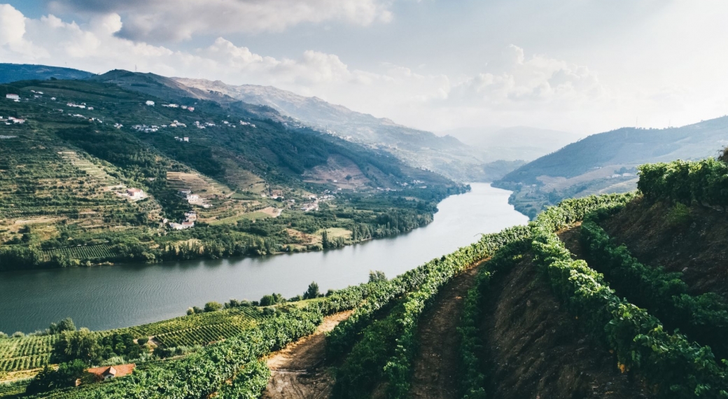 Douro Valley
