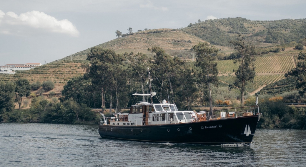 Pipadouro Friendship I