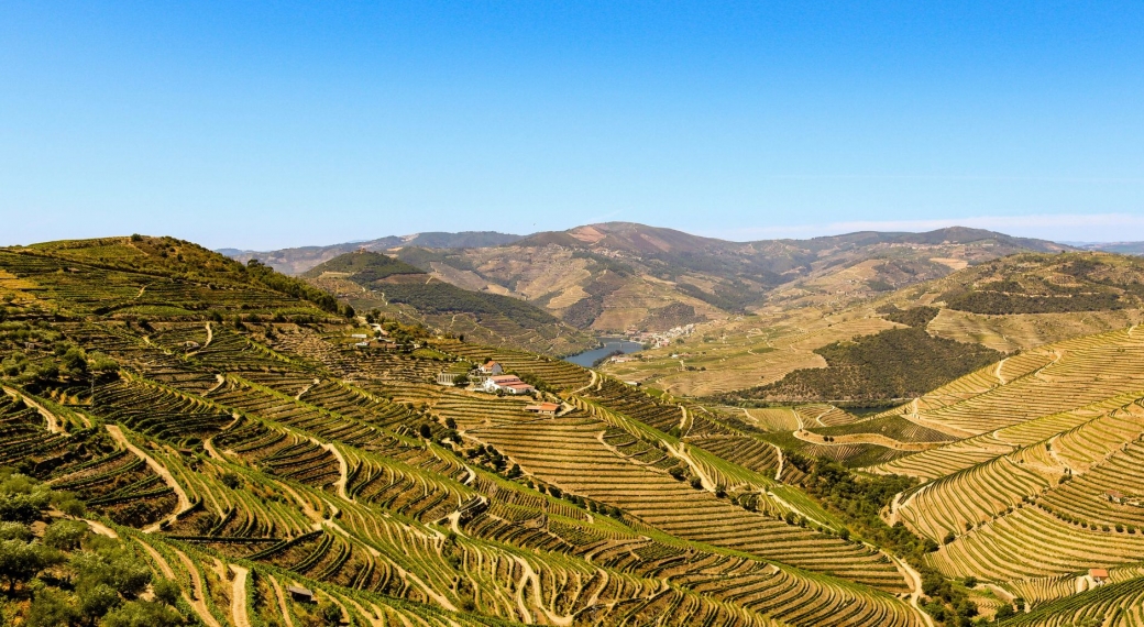 Douro Valley