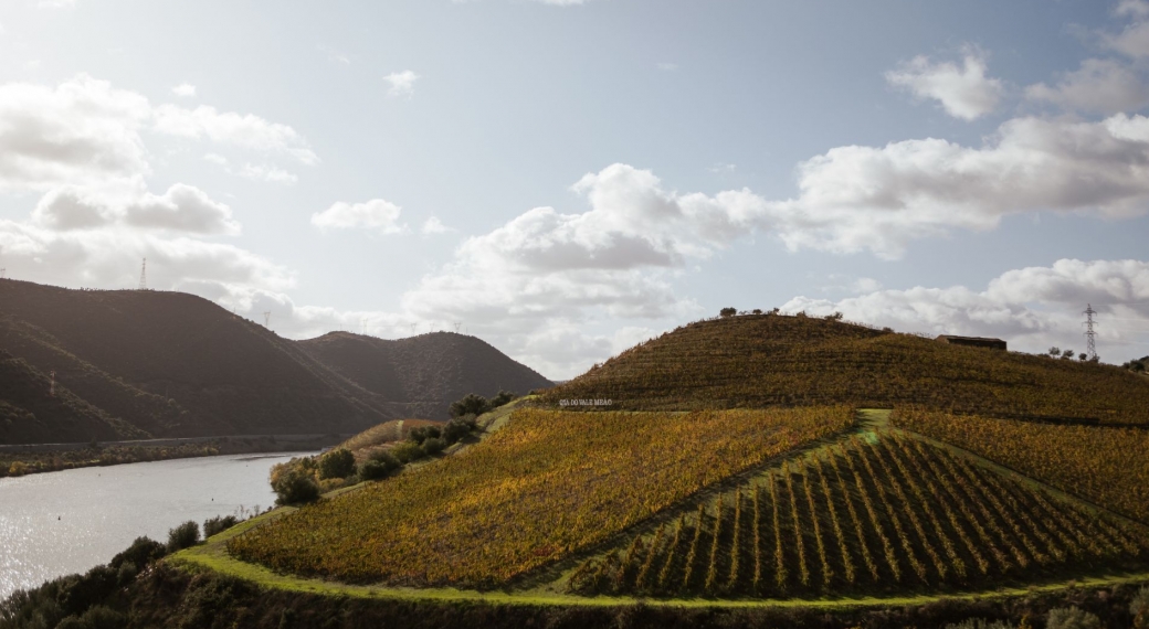 Quinta do Vale Meão