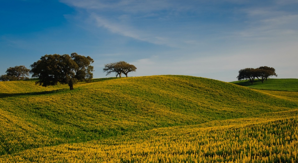 Alentejo, Portugal