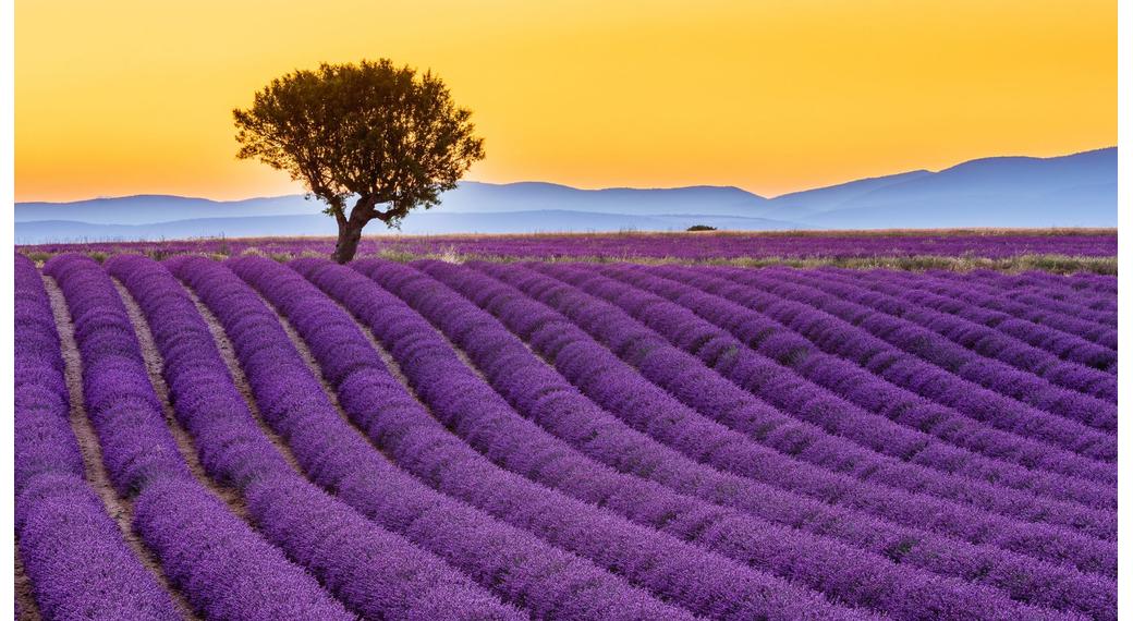 Provence, France