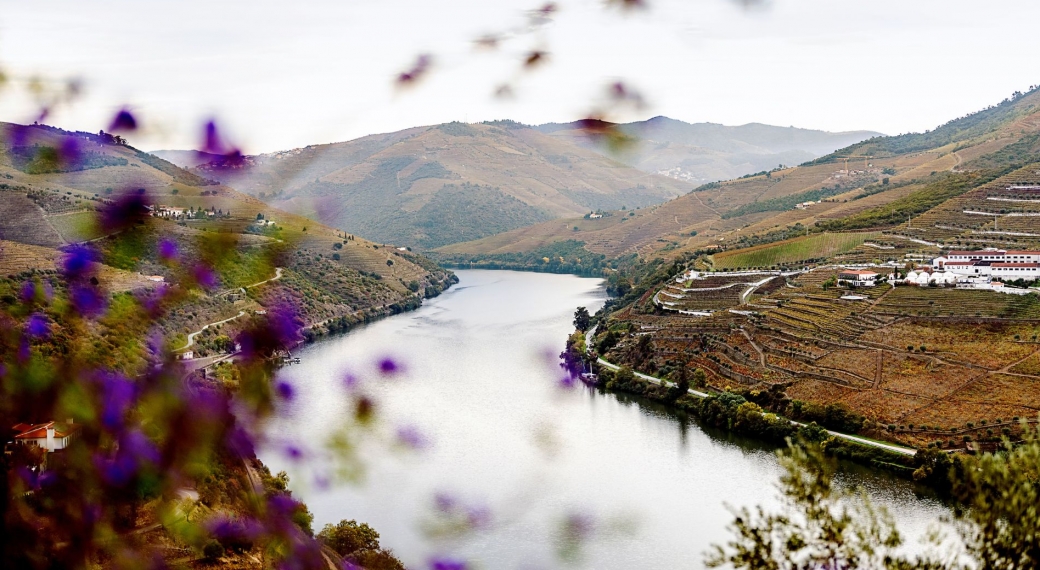 Douro Valley Portugal