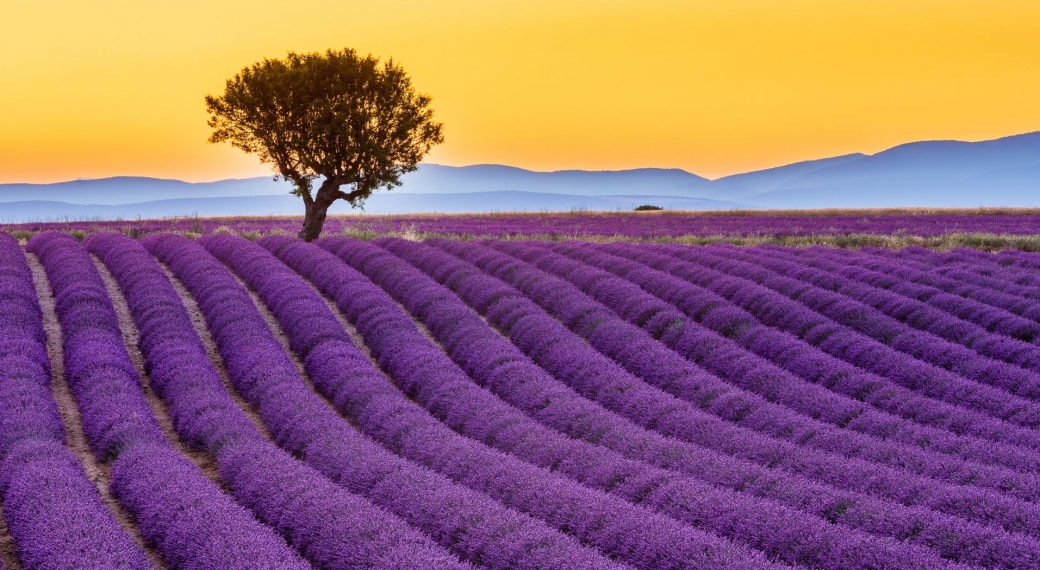 Provence, France