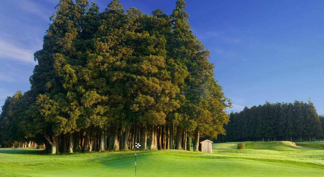 Golf Course Furnas
