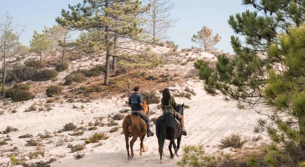 Cavalos na Areia, Comporta
